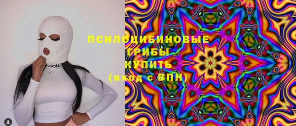 мяу мяу мука Михайловск