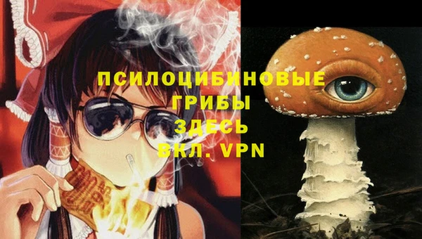 мяу мяу мука Михайловск