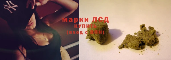 мяу мяу мука Михайловск
