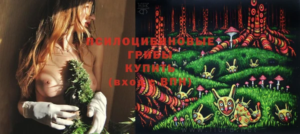 мяу мяу мука Михайловск