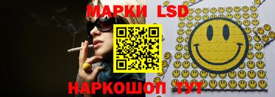 мдпв Кингисепп