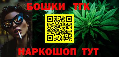 мдпв Кингисепп