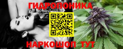 мдпв Кингисепп