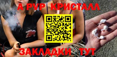 мдпв Кингисепп