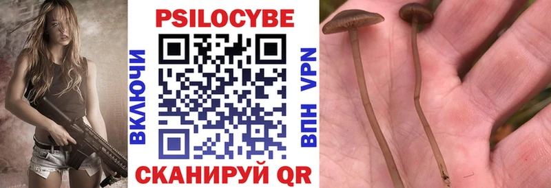 Галлюциногенные грибы прущие грибы Новый Уренгой